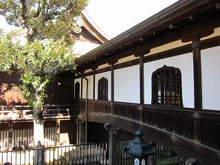 20101103-025.jpg