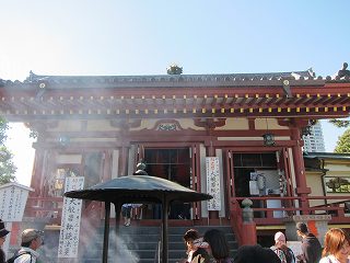 20101103-036.jpg