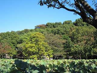 20101103-034.jpg