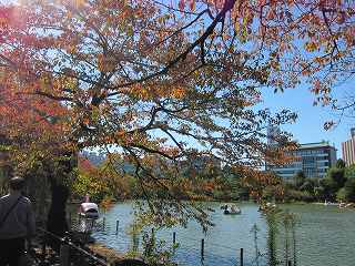 20101103-038.jpg