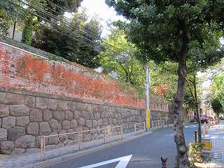 20101103-044.jpg