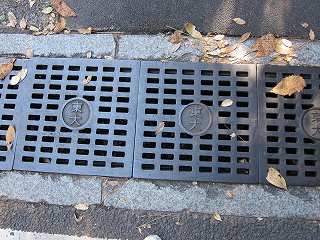20101103-054.jpg
