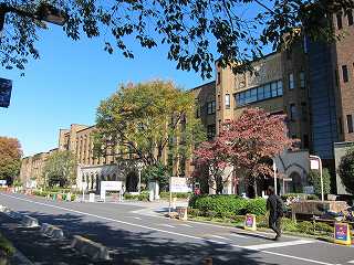 20101103-050.jpg
