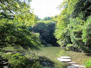 20101103-056.jpg