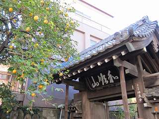 20101103-061.jpg