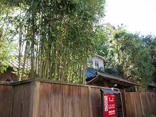 20101103-062.jpg