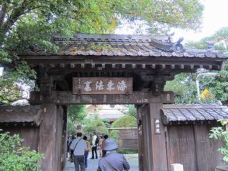 20101103-078.jpg