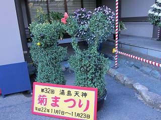 20101103-085.jpg