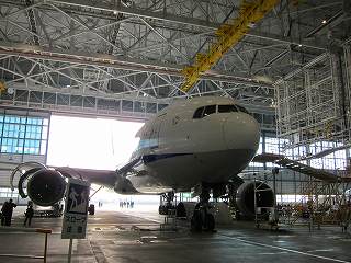 20101126-017.jpg