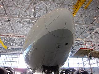 20101126-022.jpg