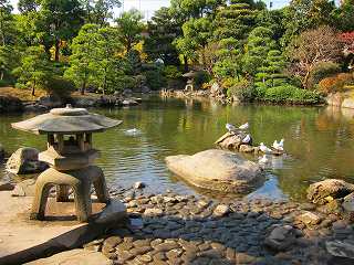 20101127-003.jpg