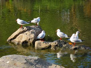 20101127-004.jpg