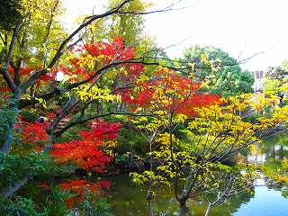 20101127-011.jpg