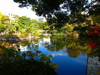 20101127-015.jpg