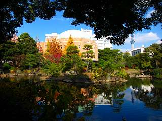 20101127-016.jpg