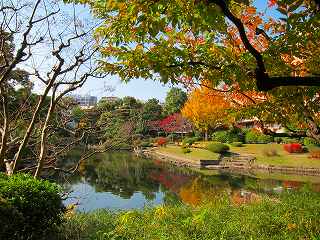 20101127-002.jpg