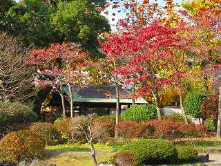 20101127-005.jpg