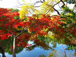 20101127-006.jpg