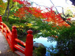 20101127-012.jpg