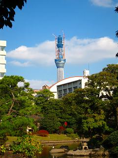 20101127-017.jpg
