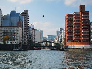 20101127-028.jpg