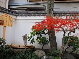 20101127-035.jpg