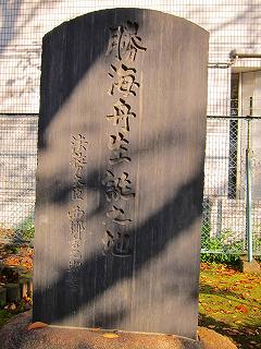 20101127-042.jpg