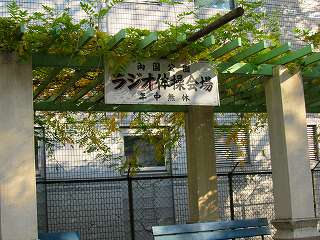 20101127-043.jpg