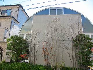 20101212-004.jpg