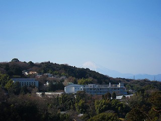20110109-011.jpg