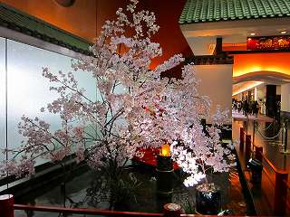 20110410-009.jpg