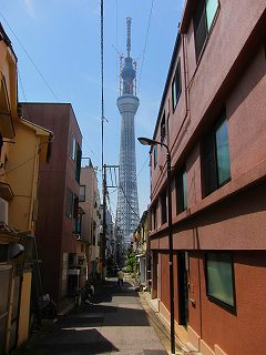 20110514-018.jpg
