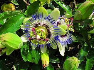 20110521-029.jpg
