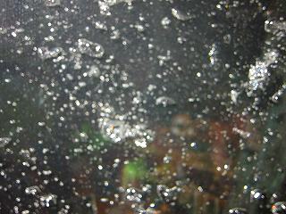 20110610-009.jpg