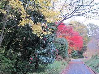 20111120-004.jpg