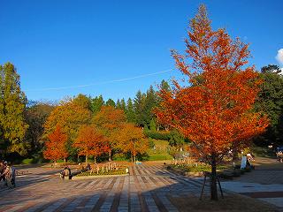 20111120-010.jpg