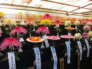 20121103-073.jpg