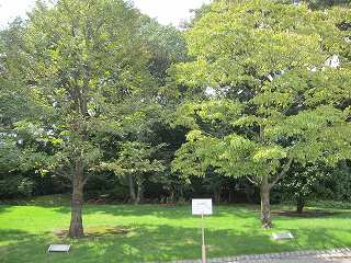 20130831-011.jpg
