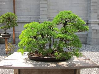 20130831-017.jpg