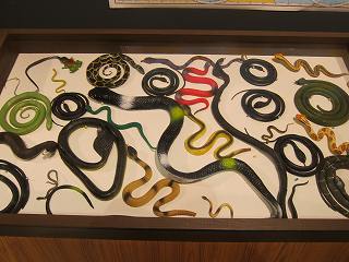 20140125-026.jpg