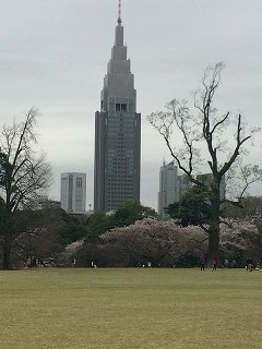 20150404-009.jpg