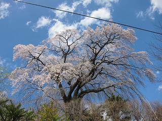 20140502-038.jpg