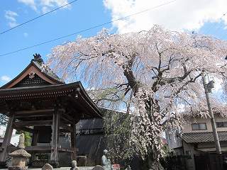 20140502-042.jpg