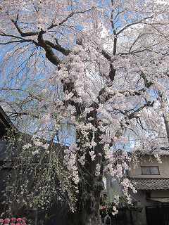 20140502-041.jpg