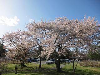 20140502-066.jpg