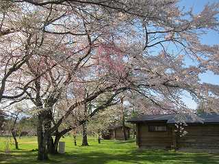 20140502-070.jpg