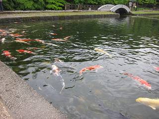 20140505-004.jpg