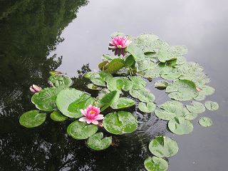 20140505-019.jpg