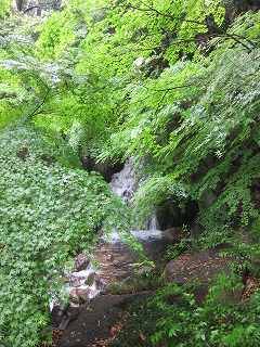 20140505-026.jpg