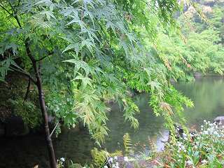 20140505-033.jpg